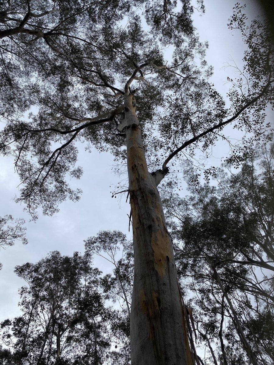 Karl Lijnders tweet media