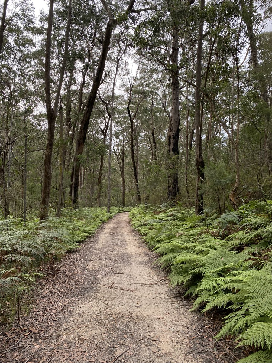 Karl Lijnders tweet media