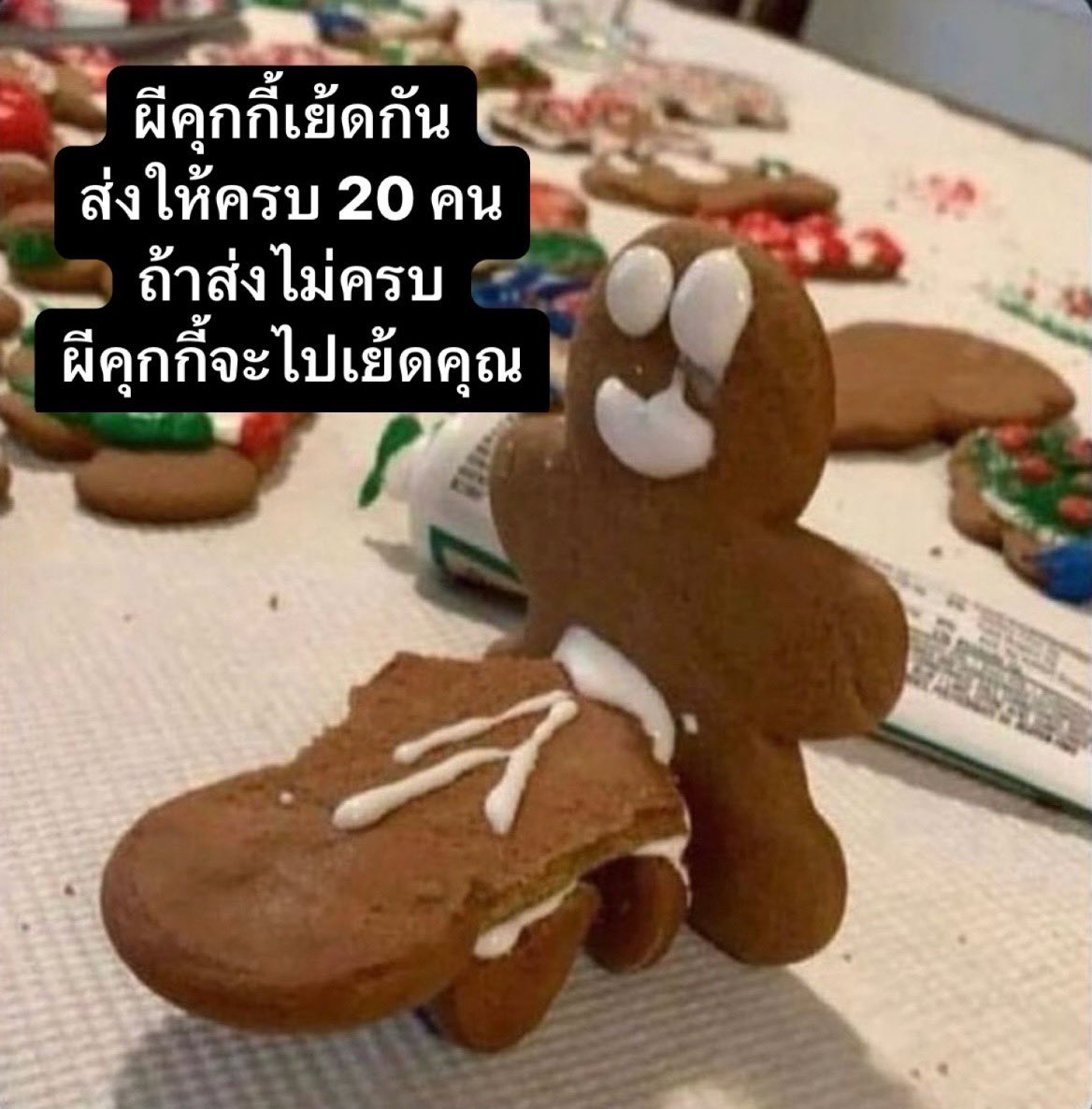 เบนจาเบนจีเบนเบ๊นเบนจามิ๊นน 🦊🤍 tweet media