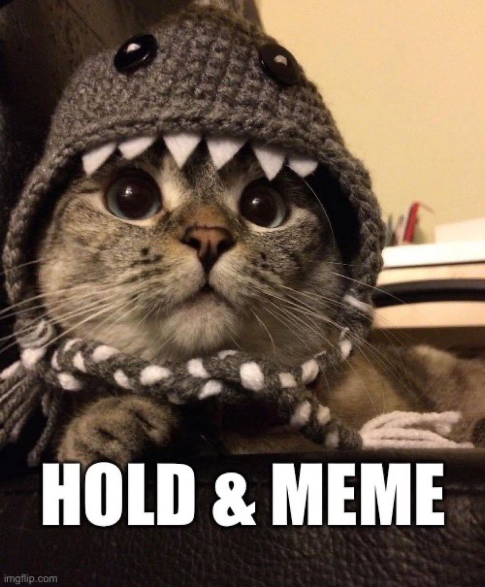 <a href="/Phemex_official/">Phemex</a> This is my day everyday $SC