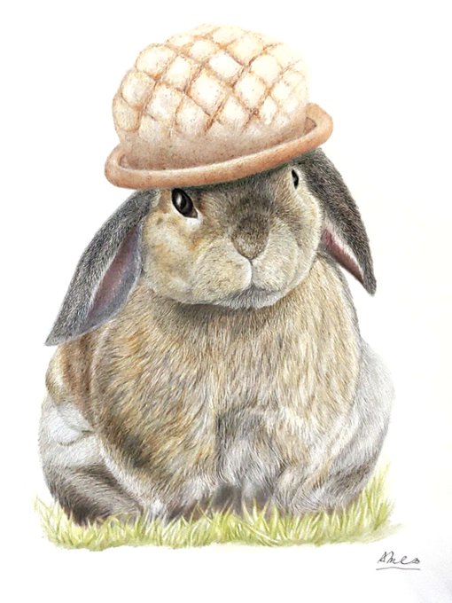 「hat simple background」 illustration images(Latest)
