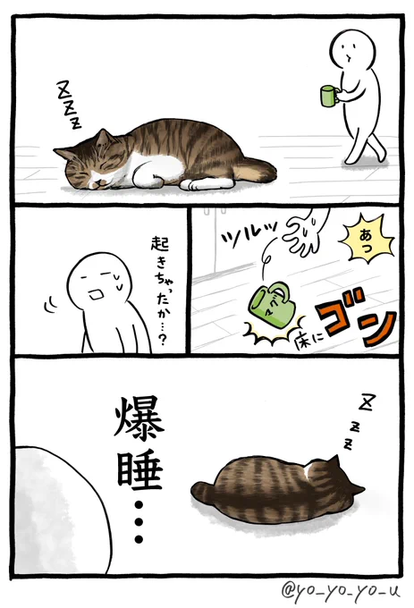 猫が老いて思うこと 