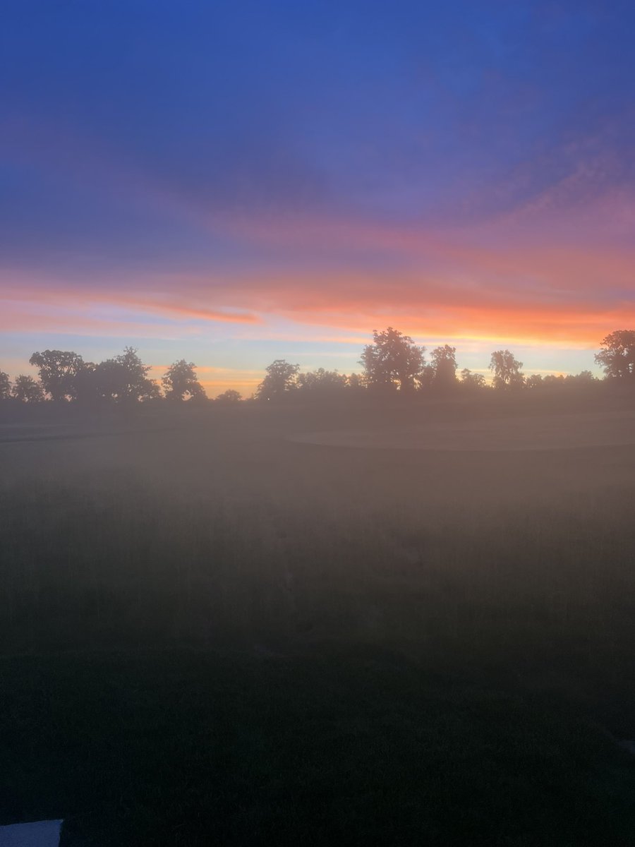 Montclair Green Department (@greenmontclair) on Twitter photo 