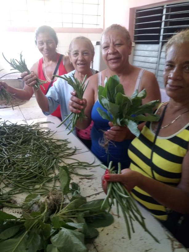 Continúan las labores vinculadas a la producción de alimentos en la Universidad de Granma. Campus II, sus áreas ya entregan productos a los comedores.
#Granma
<a href="/DiazCanelB/">Miguel Díaz-Canel Bermúdez</a> 
<a href="/yudelkisOrtizB/">Yudelkis Ortiz Barceló</a>
<a href="/YanetsyTerry/">Yanetsy Terry Gutiérrez</a>