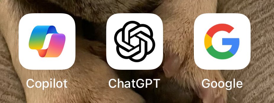 It’s amazing to me how much farther ahead ChatGPT is on iOS. Specifically related to RAG. Upload documents, ask it questions.