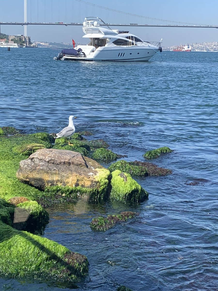 İstanbul’u yaşamak ..
