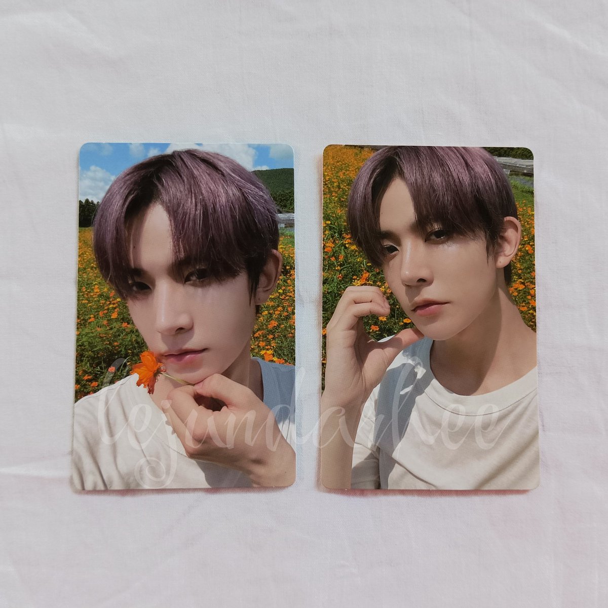 perfharmonhee's tweet photo. wts lfb

enhypen photocards

mop: gcash
mod: j&amp;t

## heeseung orange blood rpc ni-ki jake maknae fever pob sunoo charybdis marker senkou pearl jay finger heart sunghoon dawn smiley scylla dusk peace dilemma https://t.co/WpF4yLLws4
