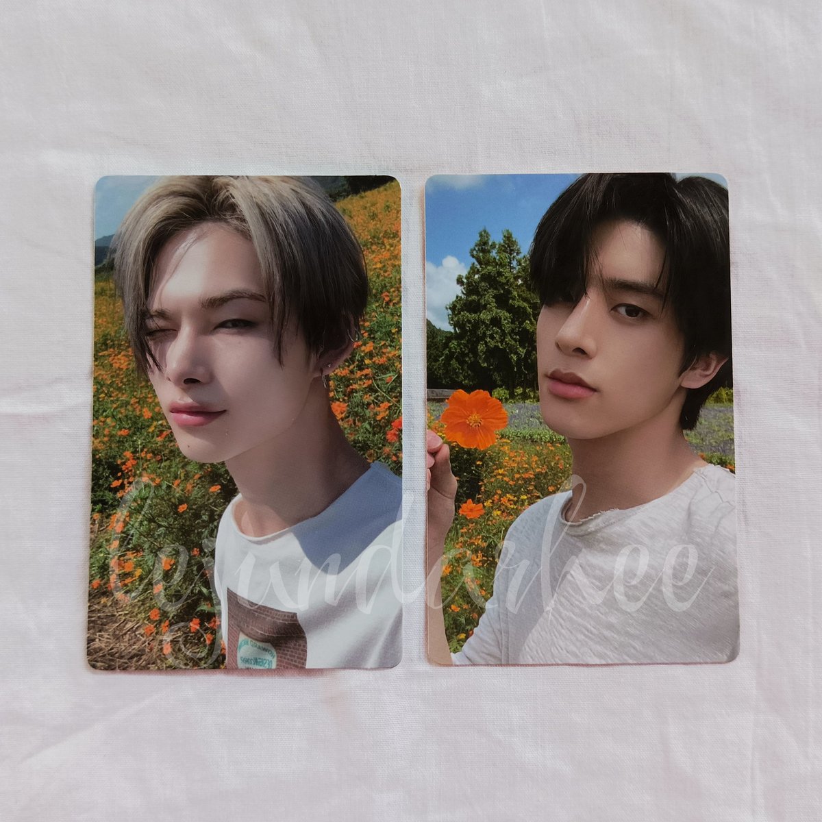 perfharmonhee's tweet photo. wts lfb

enhypen photocards

mop: gcash
mod: j&amp;t

## heeseung orange blood rpc ni-ki jake maknae fever pob sunoo charybdis marker senkou pearl jay finger heart sunghoon dawn smiley scylla dusk peace dilemma https://t.co/WpF4yLLws4