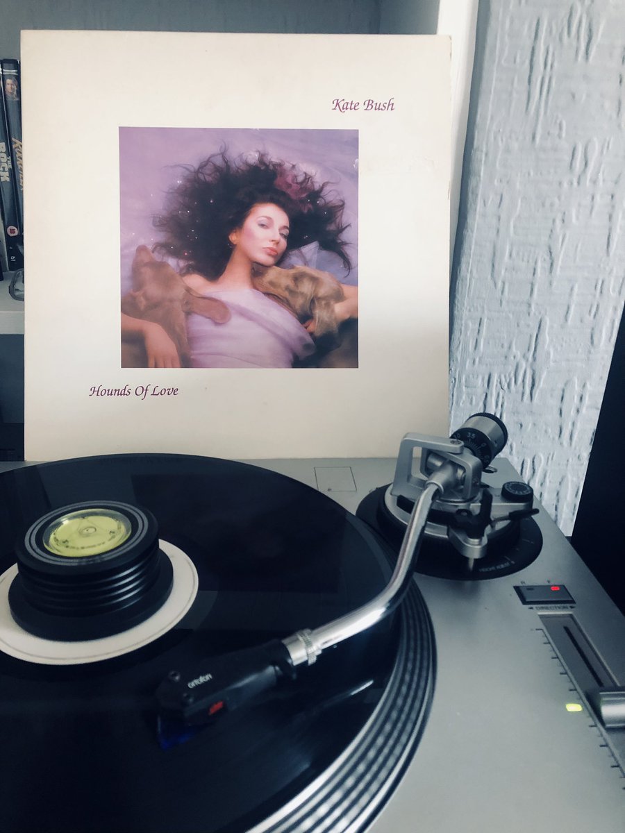 DanielJago5's tweet image. Listening to my records (not CDs as well, that would take forever) in alphabetical order by artist.
97: Kate Bush - Hounds Of Love
@KateBushMusic 
#progressivepop #artpop