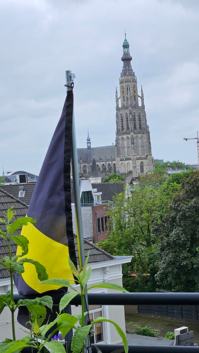 PeterSnoys's tweet photo. De hemel wordt blauw, de stad kleurt geel en zwart: hup #NAC
#raiseyourflag #nacpraat #excnac https://t.co/6WjmrQoAMw