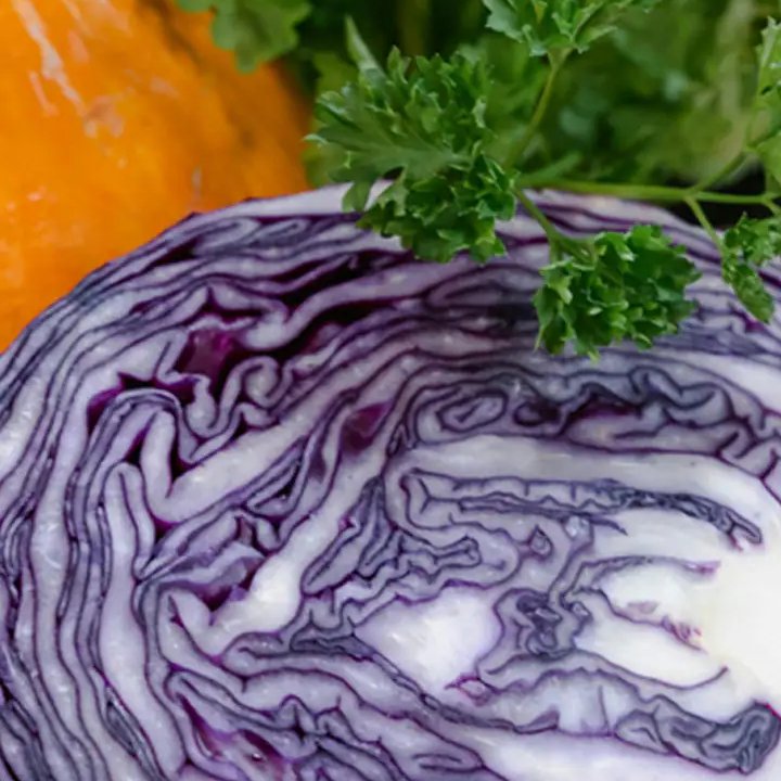 NDTVFood's tweet photo. 5 Ways To Store Half-Cut Vegetables
https://t.co/C9ChCI3WGD
#Vegetables #Storage #HalfCut https://t.co/f7QMYQgbAP