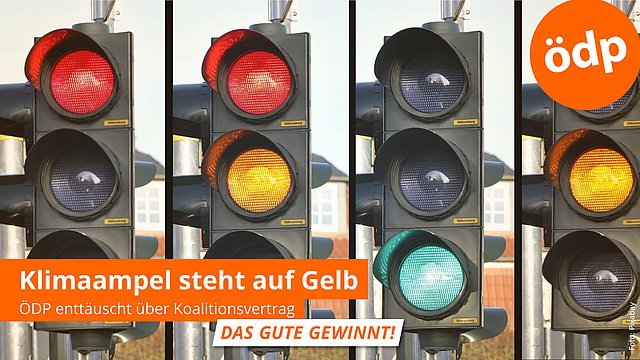 OEDP_Hessen's tweet photo. @bund_net https://t.co/QjT1LGKdxz
Auszug aus unserem Europa-Wahlprogramm, 
Kapitel 4:
Moorschutz: Schutz intakter und fachgerechte Wiedervernäs-
sung degradierter Moore mit dem Ziel der möglichst weitgehen-
den Wiederherstellung torfbildender Ökosysteme. https://t.co/TaDoQOtrzs