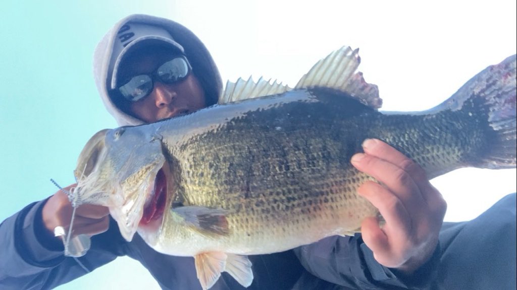 ogure23's tweet photo. 七色ダム→琵琶湖→入鹿池&amp;グルメの旅
琵琶湖にて念願の自称ロクマルが釣れました。
デジタルスケールが故障気味だったのが後悔　orz

#琵琶湖 #琵琶湖バス釣り #七色ダム #七色ダムバス釣り #入鹿池 #入鹿池バス釣り #喫茶マウンテン #鮒寿司 #伊勢海老 #ひつまぶし https://t.co/mAuzR95M5a