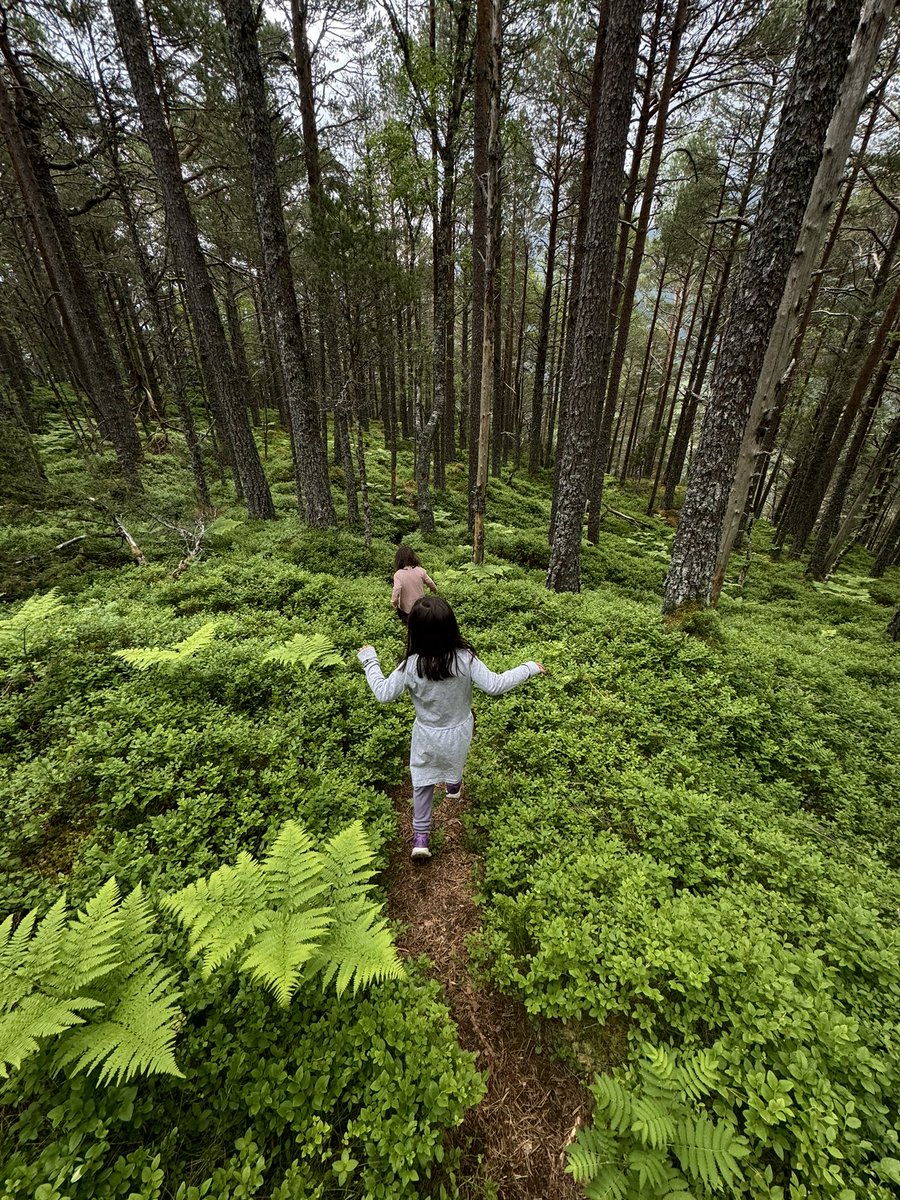 kilian jornet tweet media