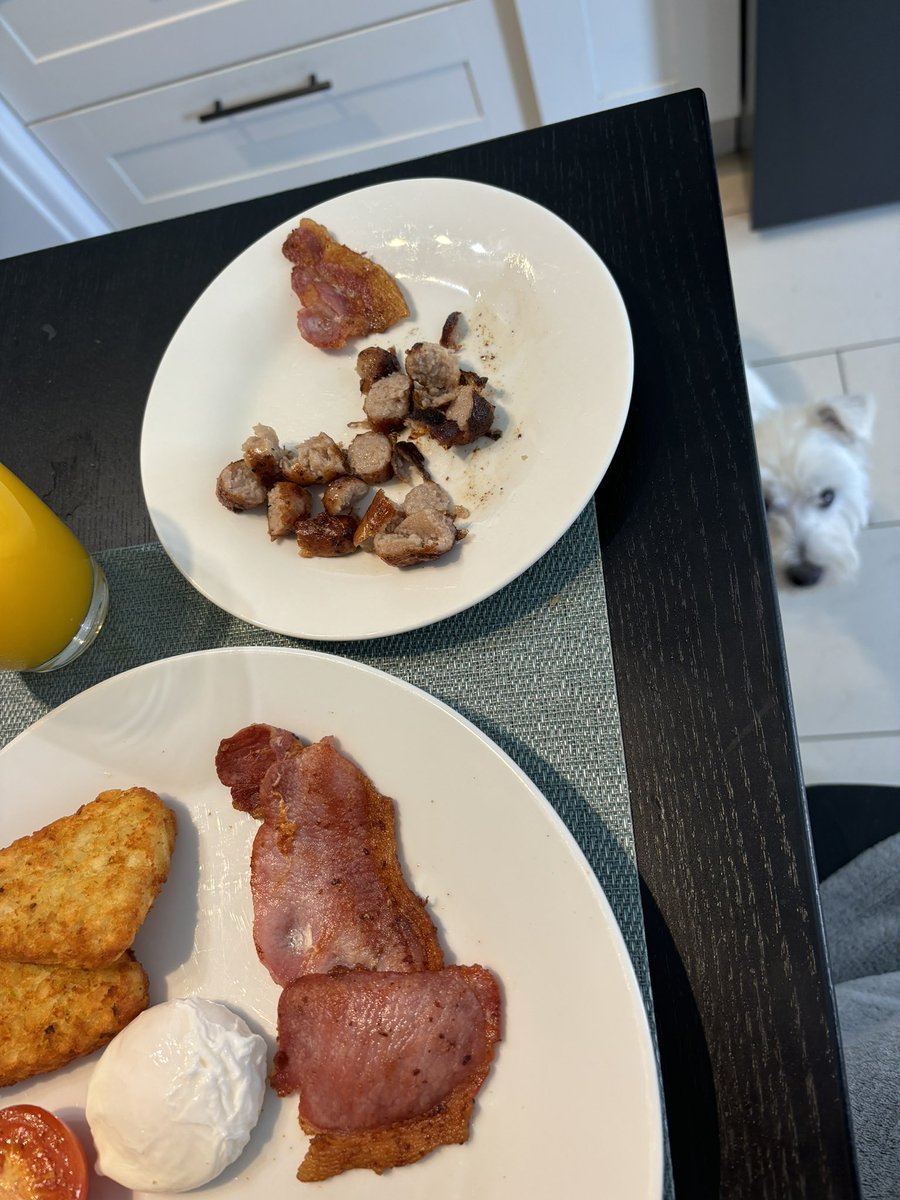 This is shaping up to be a good day pals… I already had me breakfast now I’m having brunch 😋