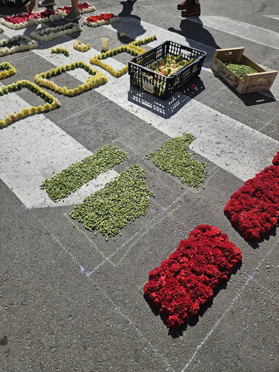 Enguany tambe fem catifa! 
Inspirada en els vitralls de la pista de gel del <a href="/FCBarcelona/">FC Barcelona</a> dissenyats per Fornells-Pla (1921-1999), artista afincat a #laGarriga. <a href="/Corpusgarriga/">CORPUS LA GARRIGA</a> <a href="/FCBPenyes/">FC Barcelona Penyes</a>