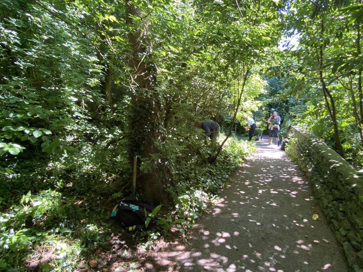 Bathntv's tweet photo. A journey through the secret door to the lost terraces @NTDyrhamPark to weed out brambles and nettles. A lovely shady path to walk through. https://t.co/uY3yGpjPnT