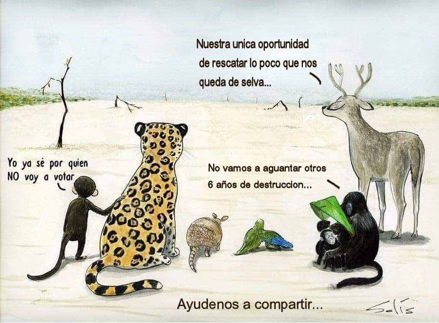 XamuraiPizzaCat's tweet photo. No vamos a aguantar otros 6 años ,.. es ahora o nunca... https://t.co/LFaAcCi1Ay