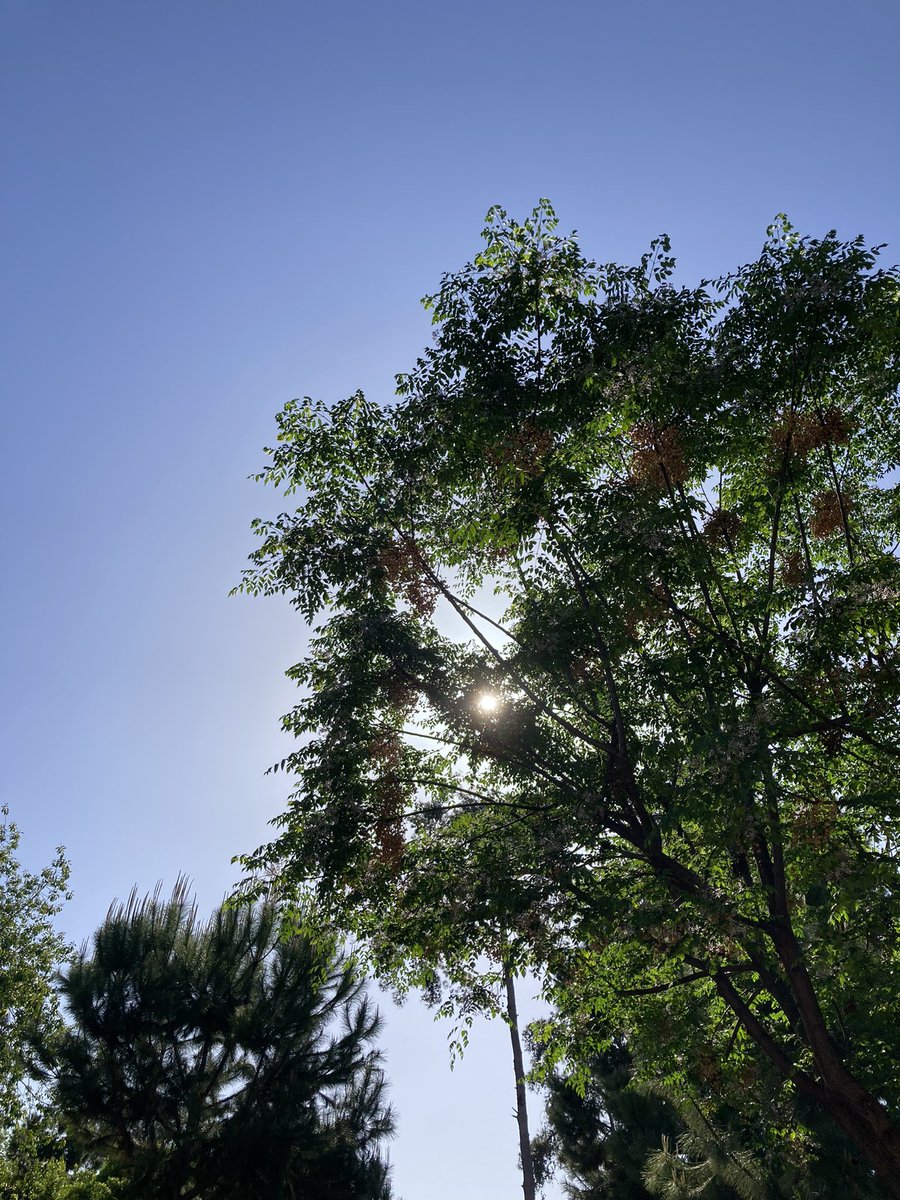 Gvnhaticee's tweet photo. 💚🌴🍀🍃🌞 https://t.co/WktWqYjQvs