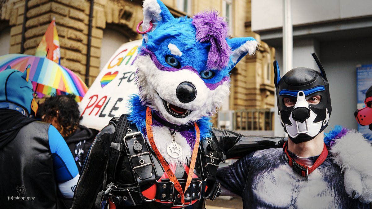 Theron_Floof's tweet photo. wet dogs at CSD Karlsruhe 2024

with @kirodog 

📸by @MidoPuppy

#CSDKarlsruhe https://t.co/h23BSgpesg