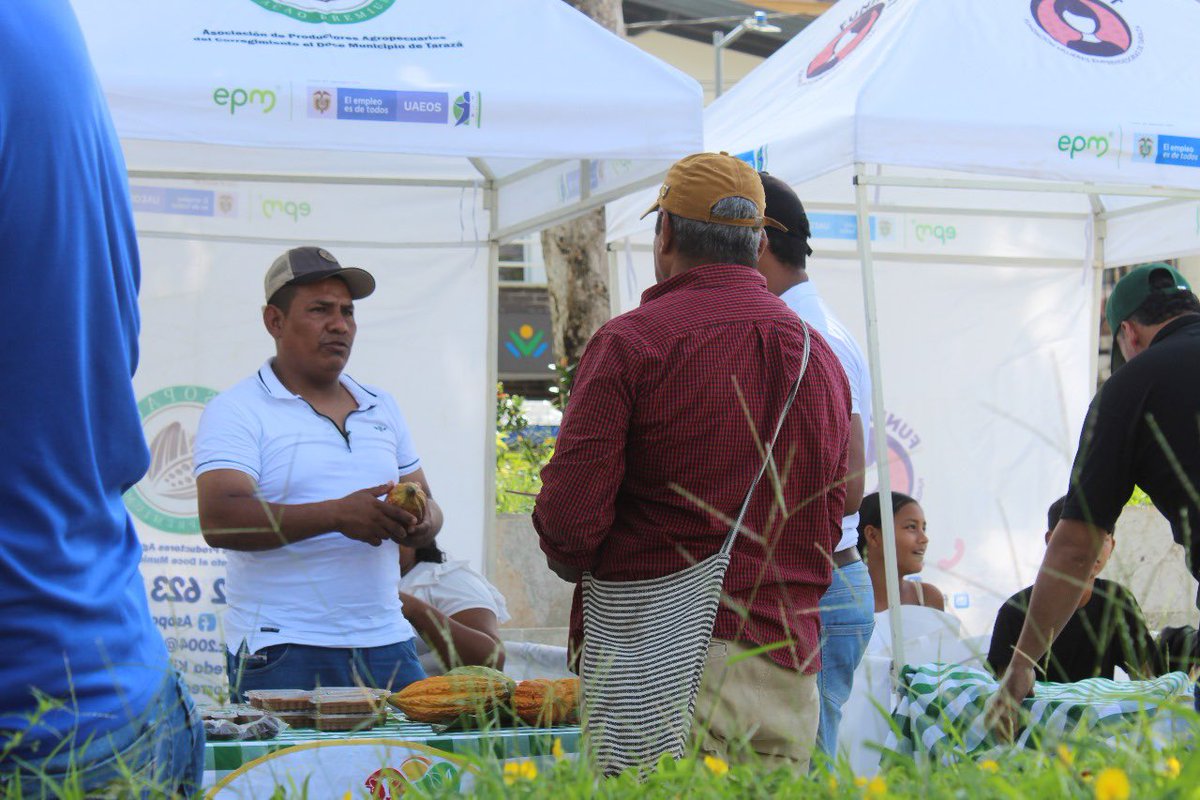 Fundación Andap tweet media