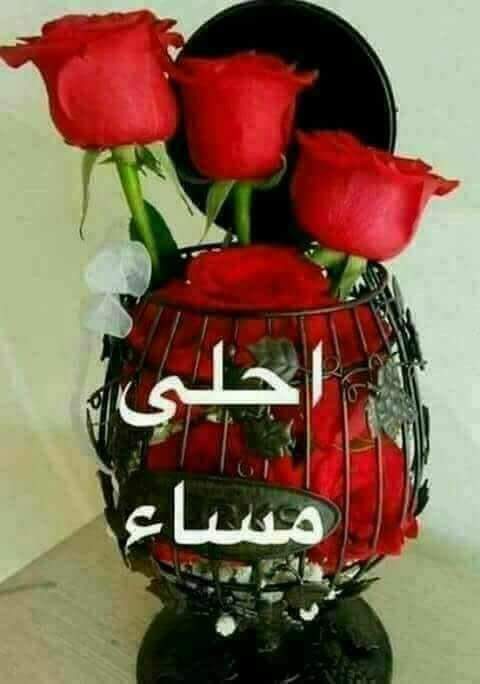 في مزه جاده ترد عليا