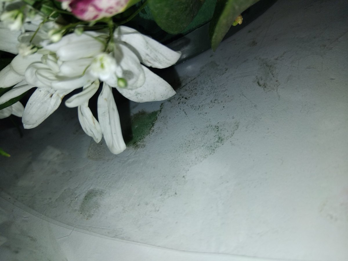 lebomonicca's tweet photo. @@NetFlorist i am appalled by the order i received on Friday. What a waste of money, i could have stopped and picked better looking wild flowers from the side of the road, i was embarrassed to hand these to the bereaved family. https://t.co/Od0BBM83cx