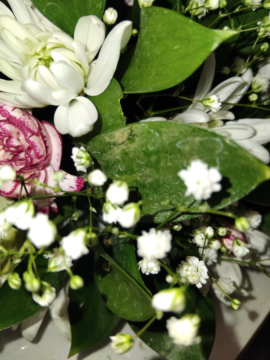 lebomonicca's tweet photo. @@NetFlorist i am appalled by the order i received on Friday. What a waste of money, i could have stopped and picked better looking wild flowers from the side of the road, i was embarrassed to hand these to the bereaved family. https://t.co/Od0BBM83cx