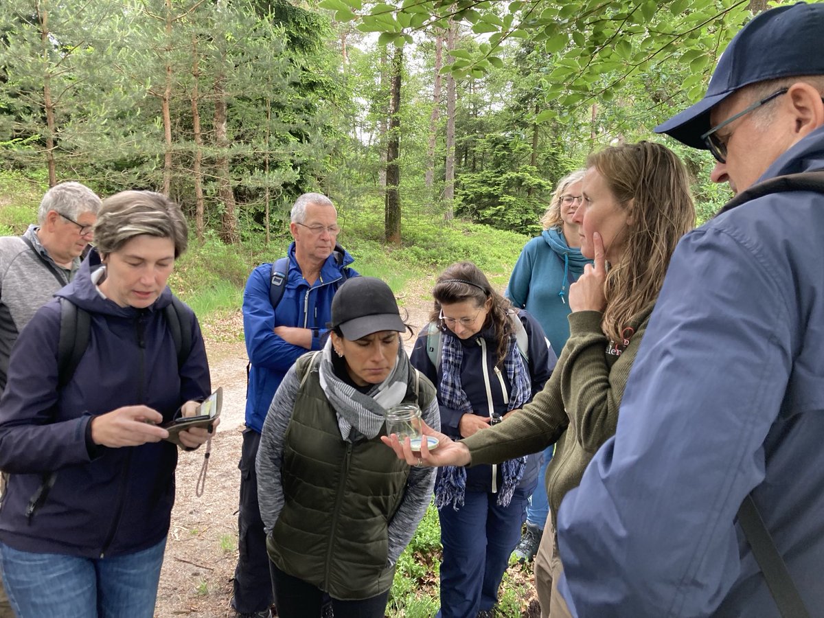 marcloev's tweet photo. Dat was een prachtige livewandeling van โฆ@BuitenGewoonGLDโฉ voor โฆ@RadioGLDโฉ. Dank aan boswachter โฆ@ClaraWilkenโฉ van โฆ@glkโฉ #DeDellen #genoten https://t.co/q6Mcla40FW