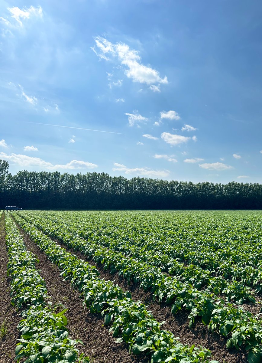 Oliver Dennis tweet media