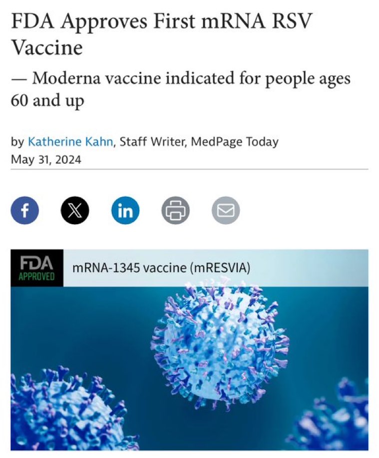 Liz Churchill tweet media