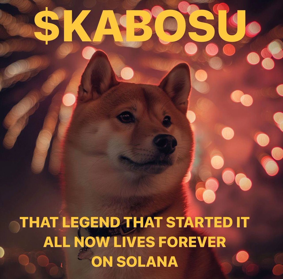 Kabosu_CTO's tweet photo. @Regrets10x There is only one answer.

The SOL of Kabosu. The bedrock of MemeCoins https://t.co/ekAxiwmrGb