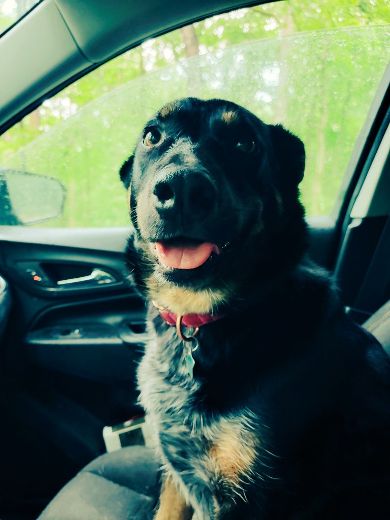 BlazeeJane tweet media