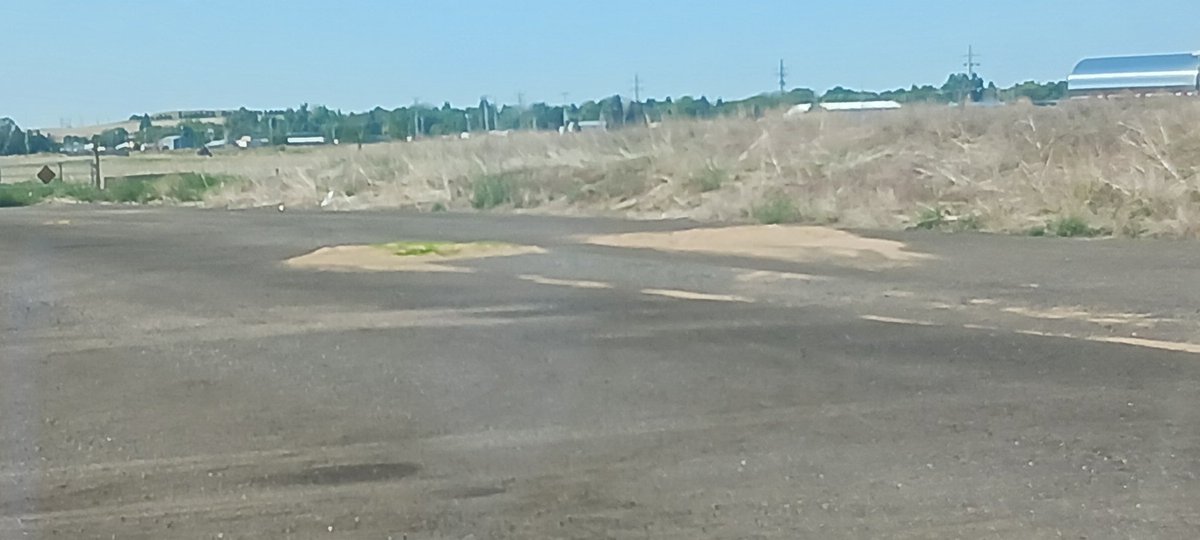 Turbo_Fucker's tweet image. Someone lost a few lbs of wheat out of their #hopperbottom trailer at the Kimball NE truck parking lot