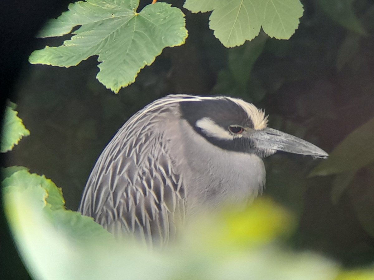 Jack Tynan tweet media