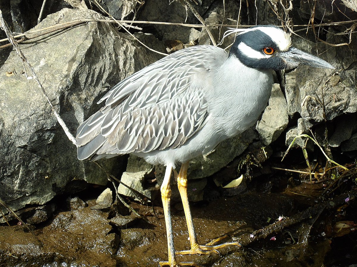 Jack Tynan tweet media