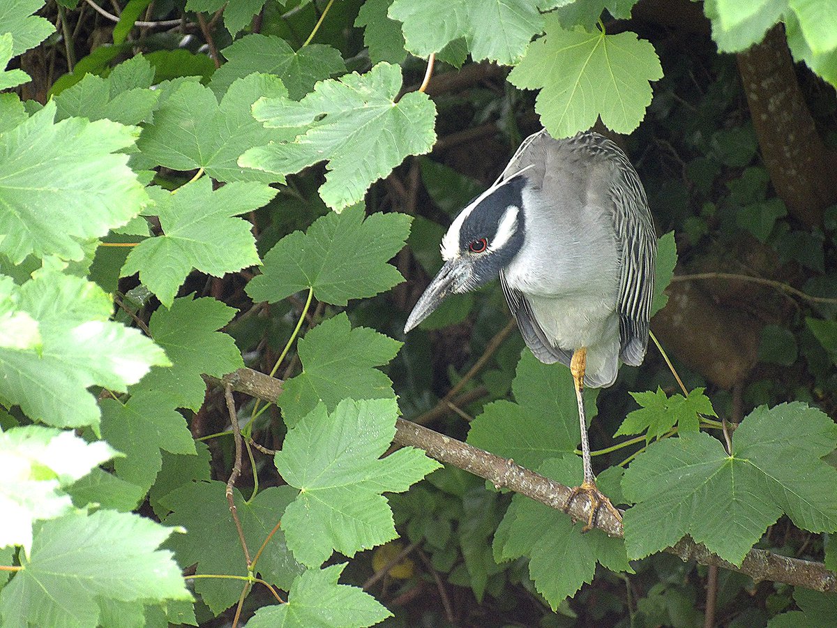 Jack Tynan tweet media