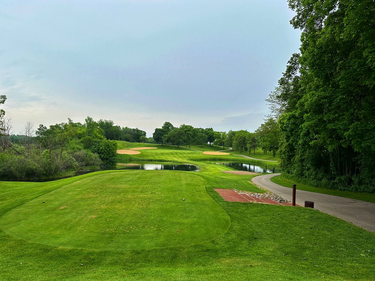 Tim Gavrich tweet media