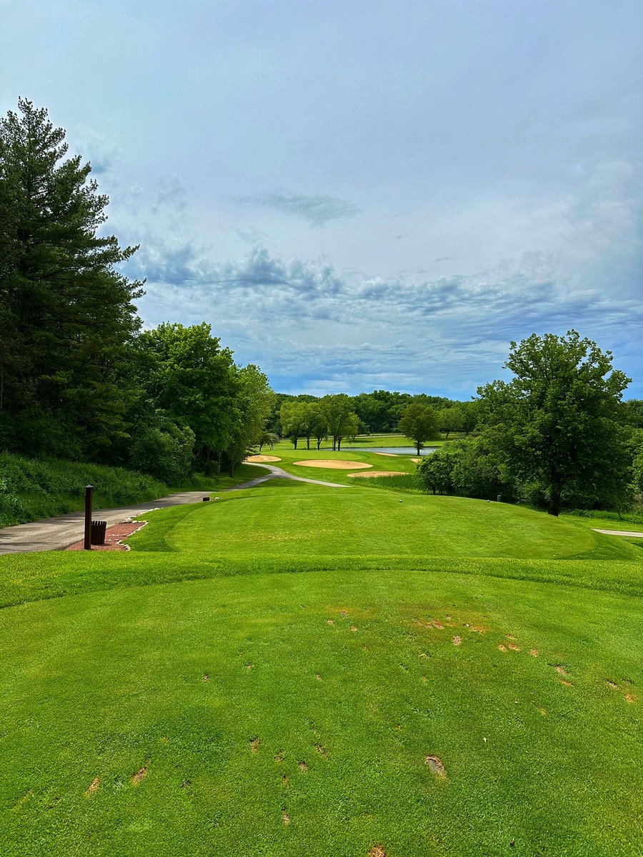 Tim Gavrich tweet media