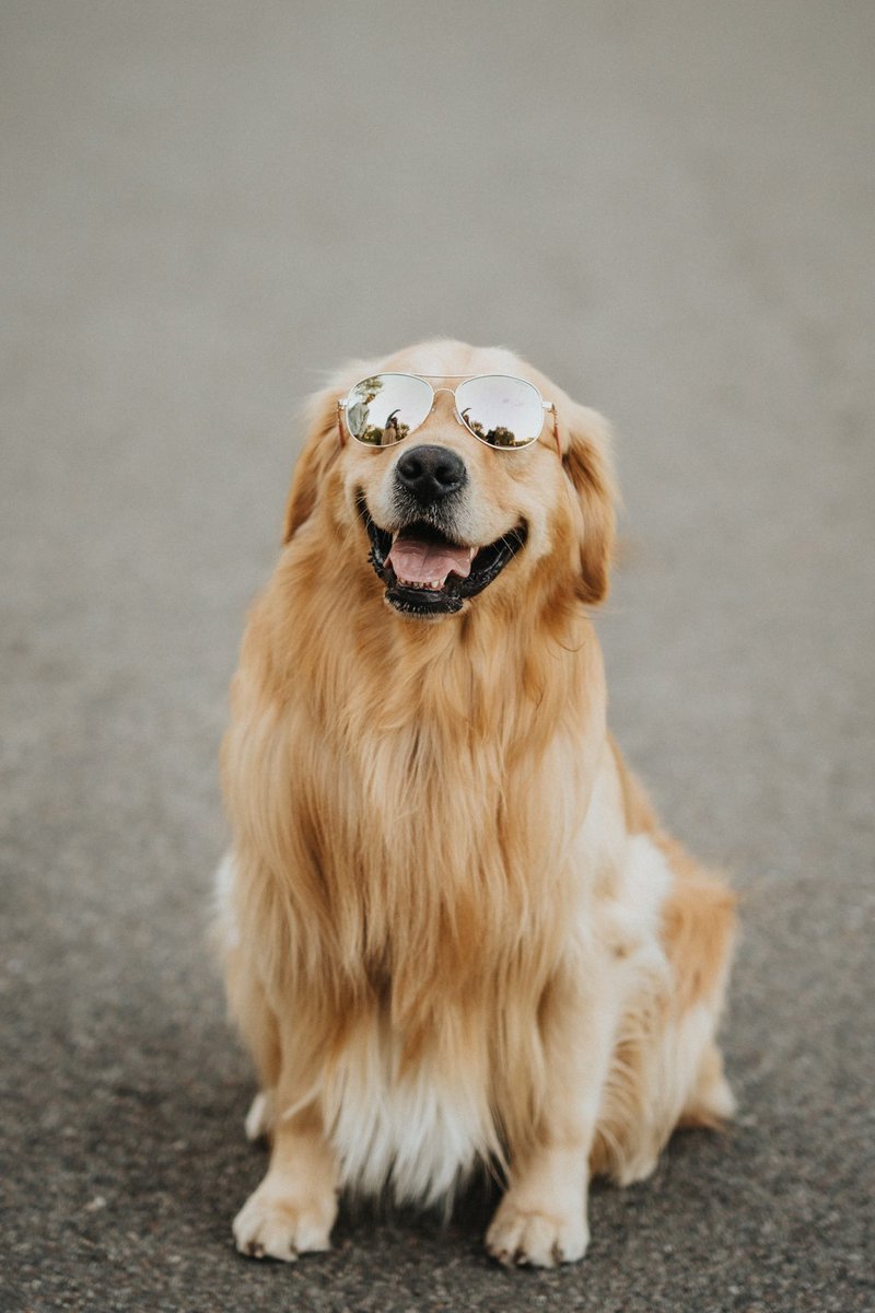 BeauNoseBones tweet media