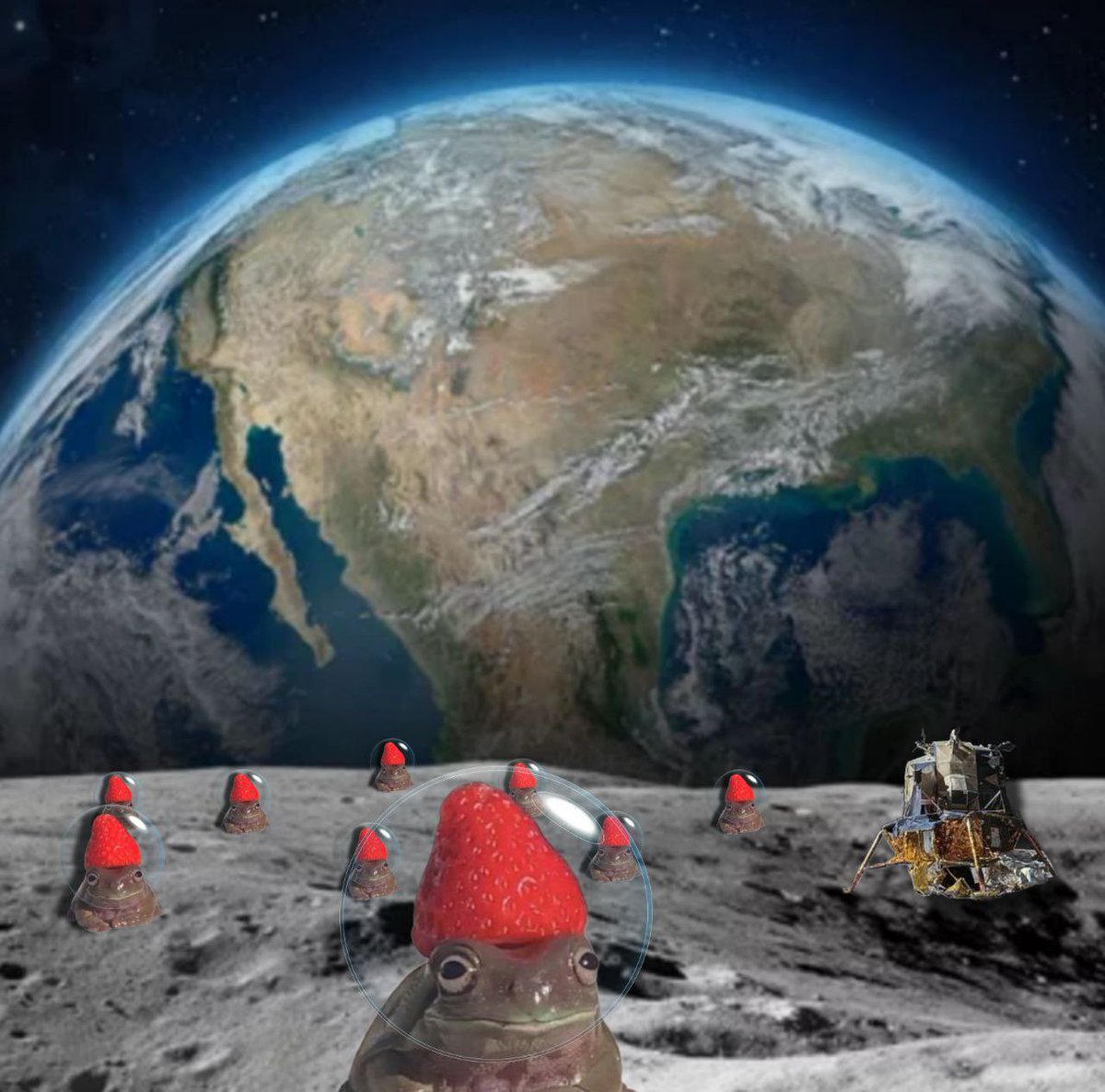 xLiCkxNxSpLiTx's tweet image. $SBF 🍓🐸 CTO

CA: 5FiQH4Bdhyc6xWeaMJXbzADhLpKuHWB7hKcGoqWmDsS5

The berry stays on 🍓🐸 the moon