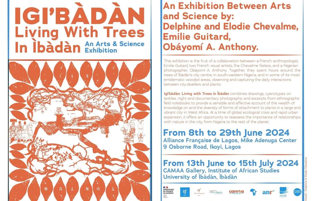 💦 1 week before the exhibition "Igi’bàdàn. Living with Trees in Ìbàdàn" at <a href="/AF_Lagos/">Alliance Française de Lagos</a>! As the plants and trees of Lagos and Ìbàdàn gorge themselves with rain, don't hesitate to brave it and join the Chevalme Sisters, <a href="/obayomianthony/">Obáyomí</a> and myself on Saturday 8 June for the opening🌳