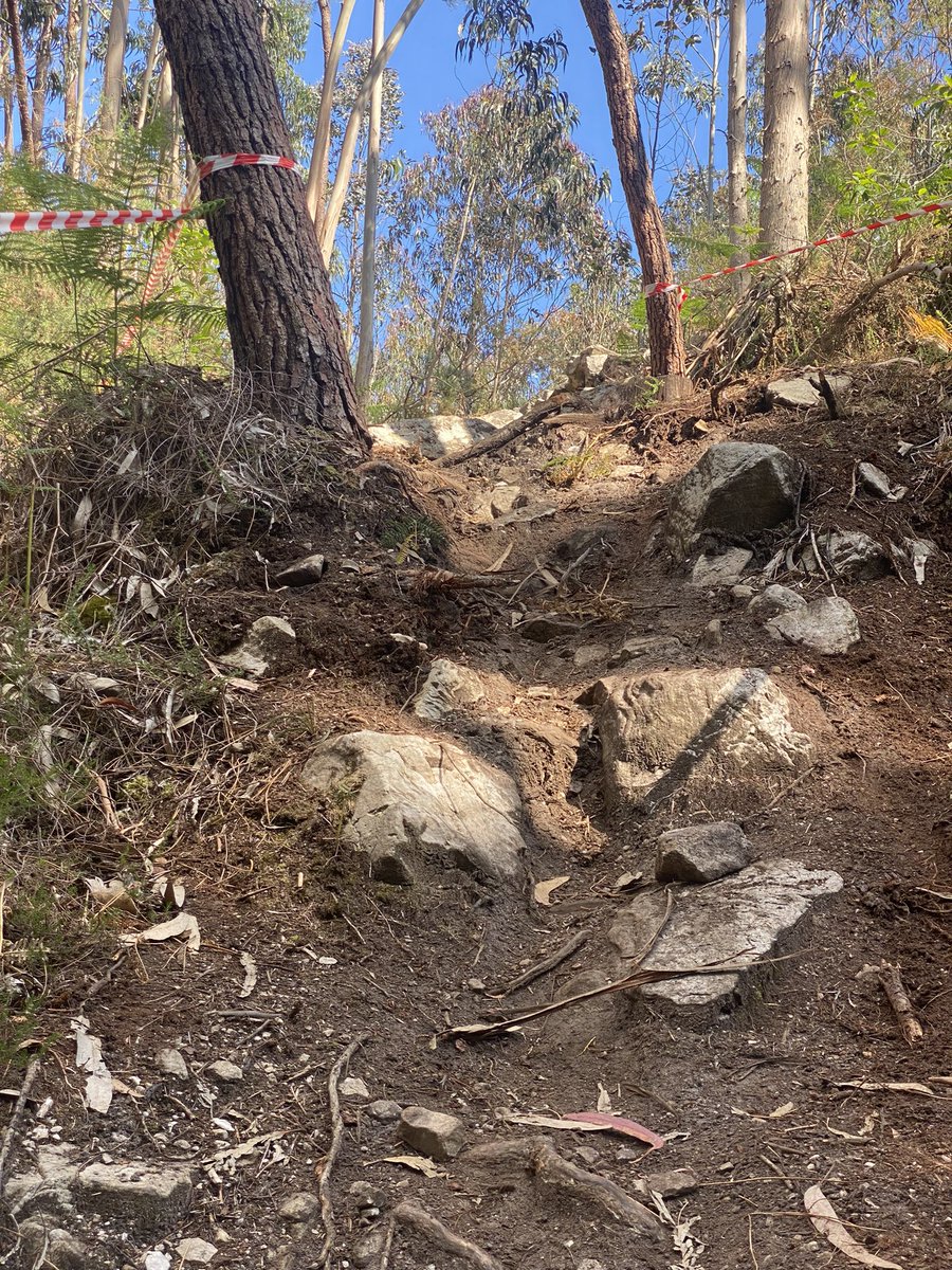 Quico Muñoz González tweet media