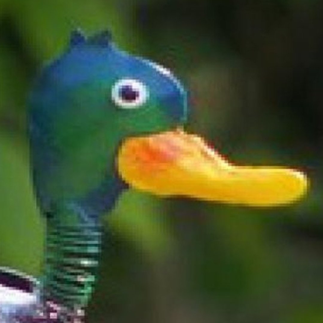 goldfish1206's tweet photo. Coing coing https://t.co/GIVXtqcK9b