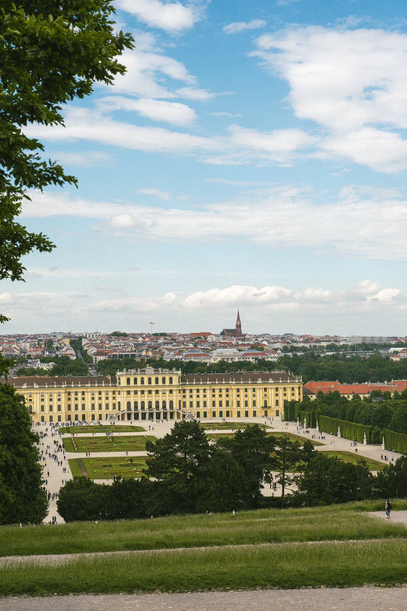 Marco Marroncelli tweet media