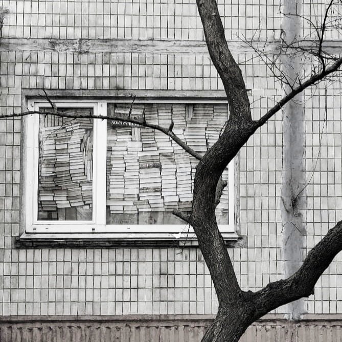 J.J. Muñoz-Rengel tweet media