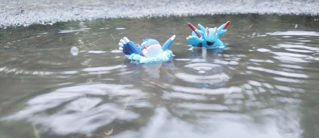 雨を降らせているポケモンを紹介するボーマンダ