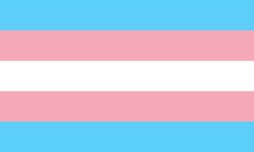 ValriaGarzaTs's tweet photo. @ajuliearaujo it's pride month! quote with u and your flags https://t.co/P1JzXOS0C2