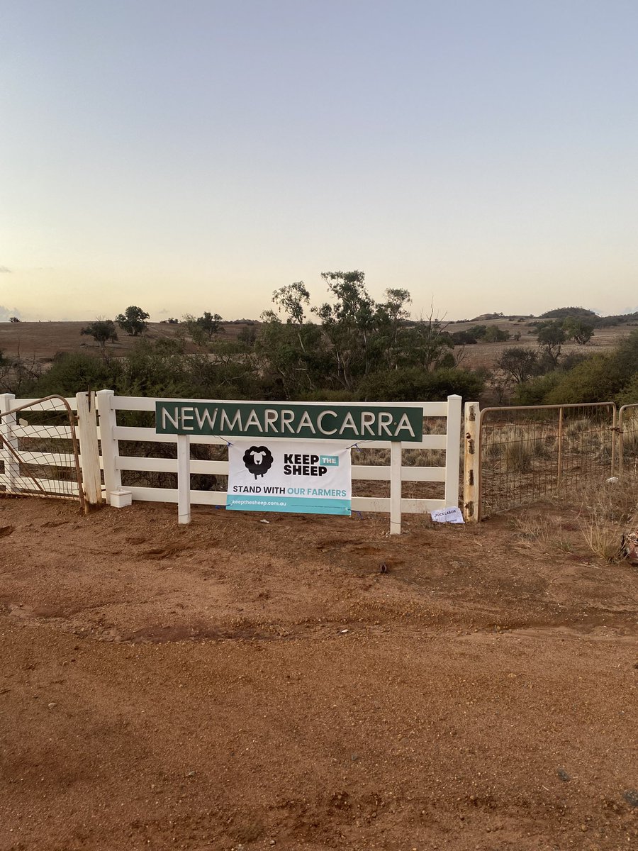 CluneJosh's tweet image. What an incredible and historical day at last Fridays @keepthesheepWA rally, thanks to the organisers.
I’m not going to stop fighting against @MurrayWatt @AlboMP anti farming policies. I want a future 💪 #keepthesheep