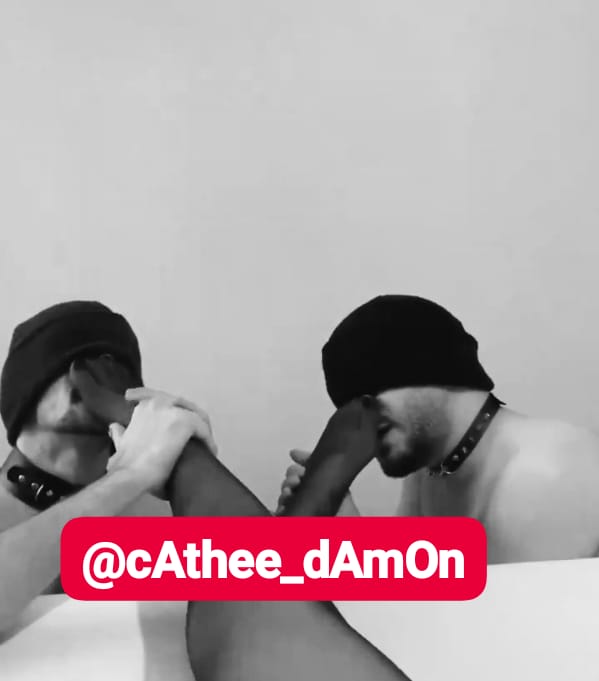 Cat_love_dAmOn's tweet photo. today we met my twin slaves both are so cute and submissive they came to meet with us from Moroccoβ€οΈ
#feet_licking
#slave_session
#Dominant_queen
ππππ¦π―ππ β¨πΎ https://t.co/IiBa2z2hs0